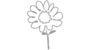 Carroll Accountants