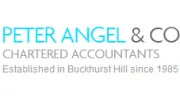 Peter Angel
